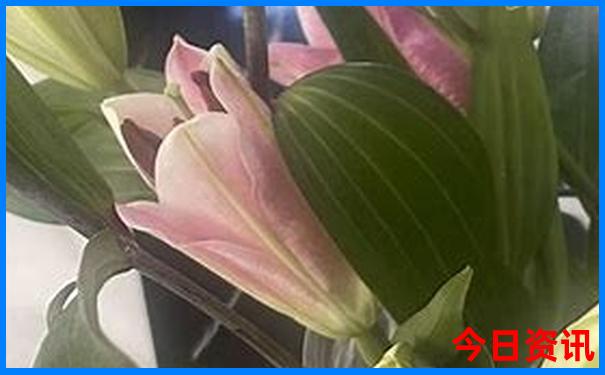 临洮有什么好玩的景点?